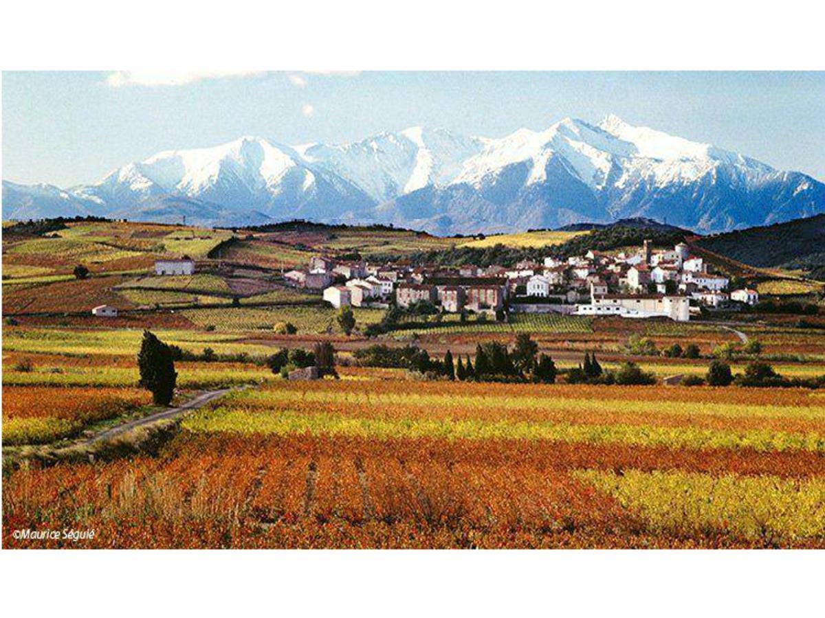 Entre Mer Et Montagne Montner Екстер'єр фото